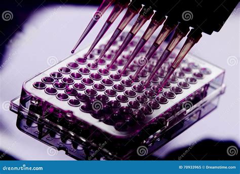 lab specimen tray pipette|multi purpose lab trays.